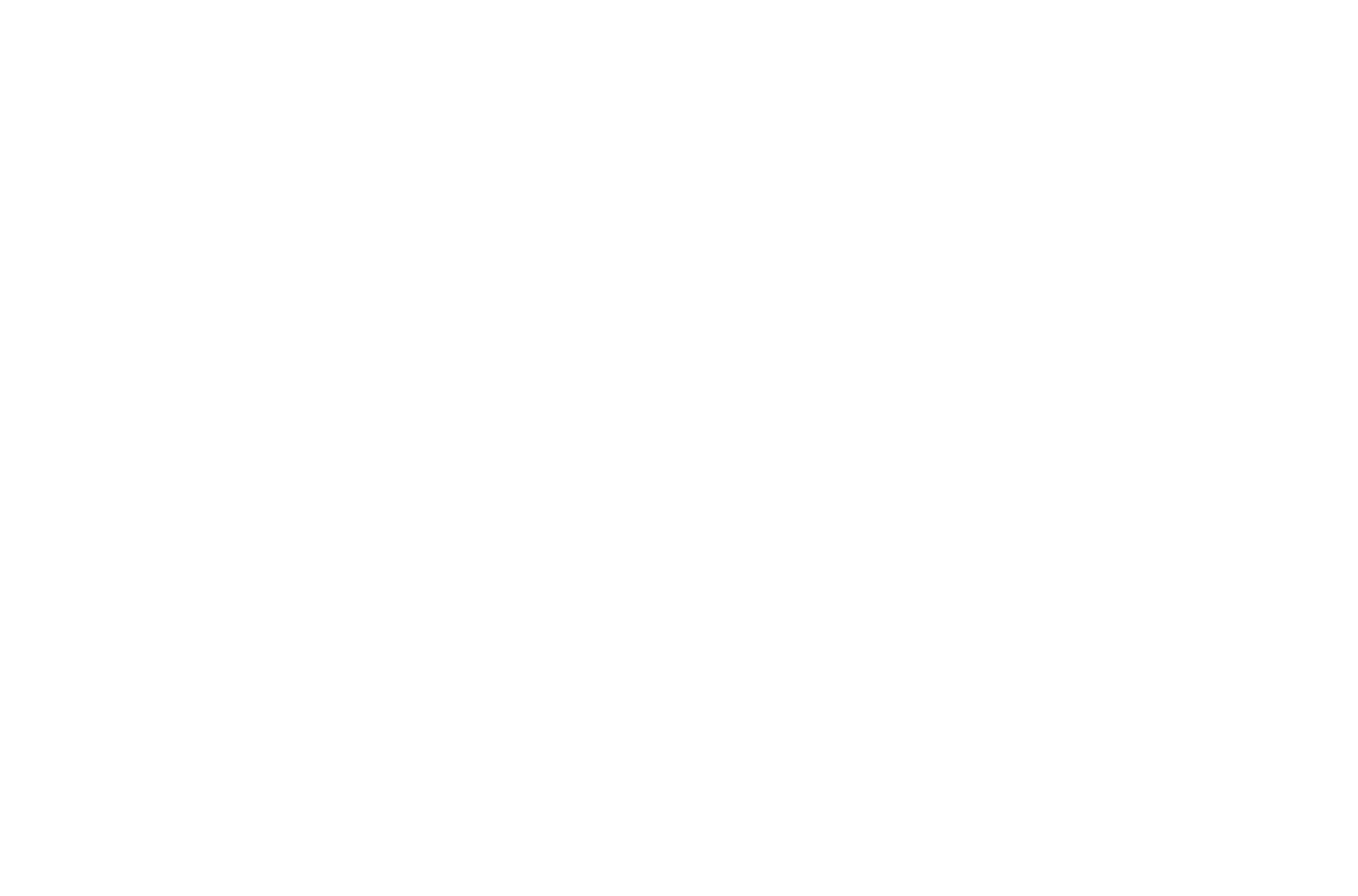 Elaine Lopes